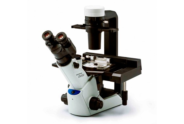 Kompakt Cellekulturmikroskop 