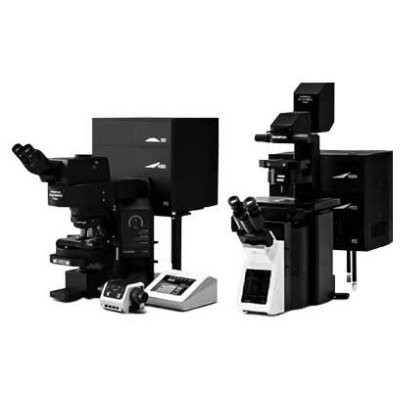 Konfokal Laserskanning Mikroskop