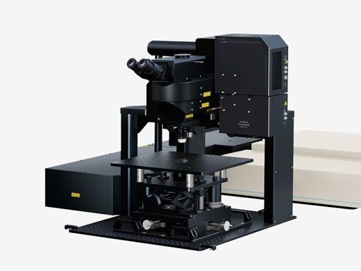 Multifoton Laserskanning Mikroskop