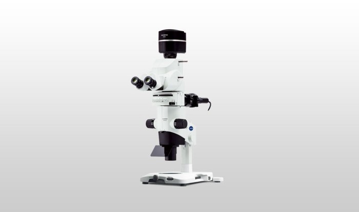Makroskop