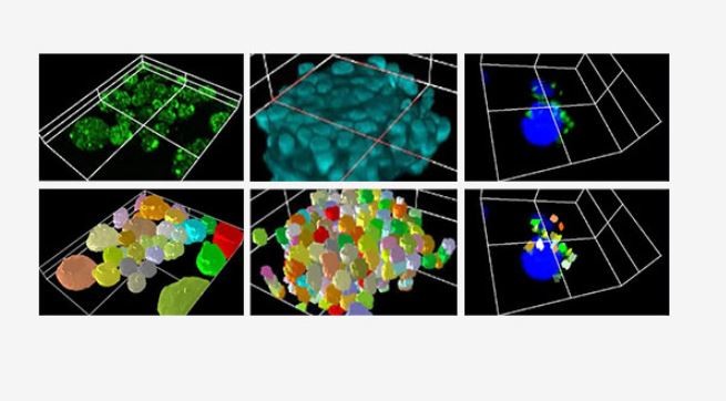 3D cell analysis programvare   